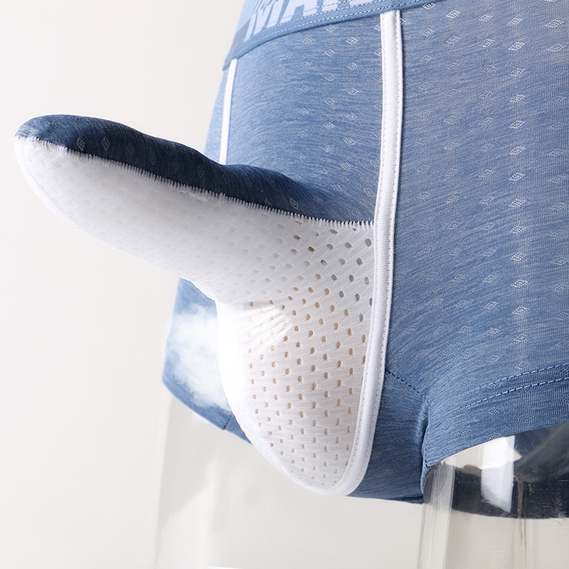 Men's Ice Silk Boxer Briefs, B - Mesh Sport Boxer recensione e prezzo