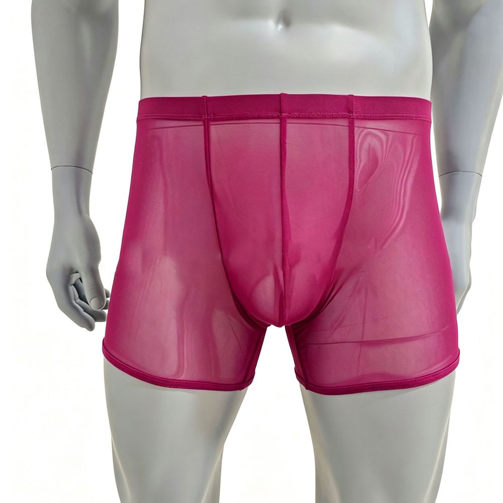 Men Mesh See-through Ultra-thi - Long Leg Trunk Men recensione e prezzo